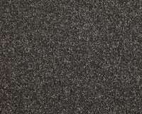 Easy Living Choice 48oz Carpet