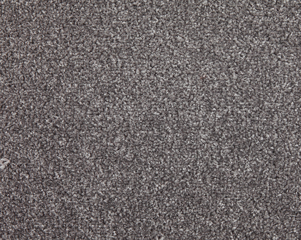 Easy Living Choice 48oz Carpet