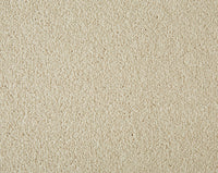 Easy Living Ultra Carpet