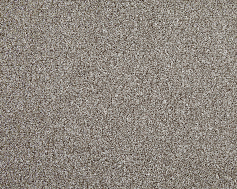 Easy Living Choice 48oz Carpet
