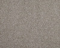 Easy Living Choice 48oz Carpet