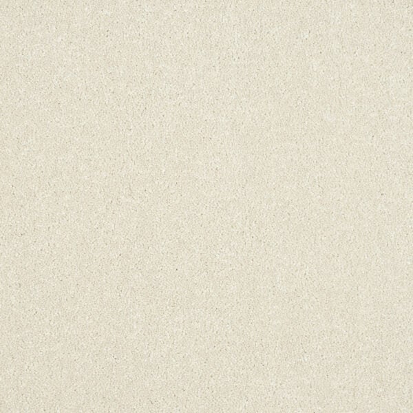 Smart Atilius Carpet