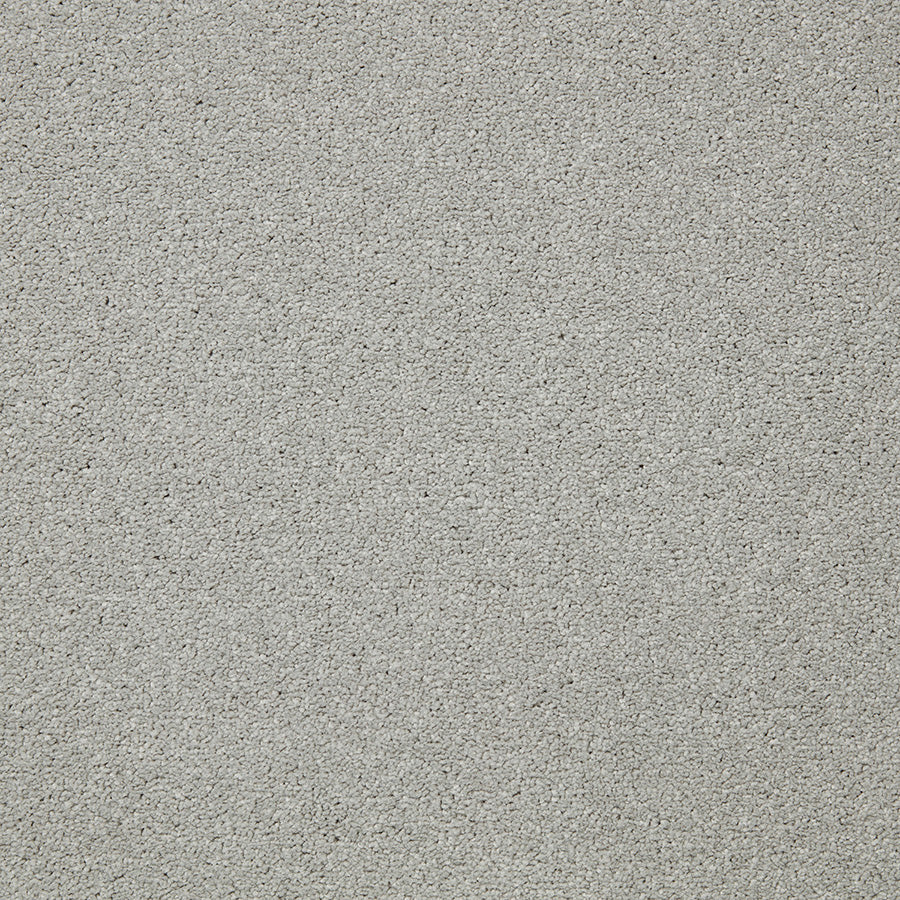 Easy Living Ultra Carpet