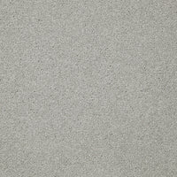 Easy Living Ultra Carpet