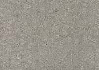 Tazmin Carpet - Ulster