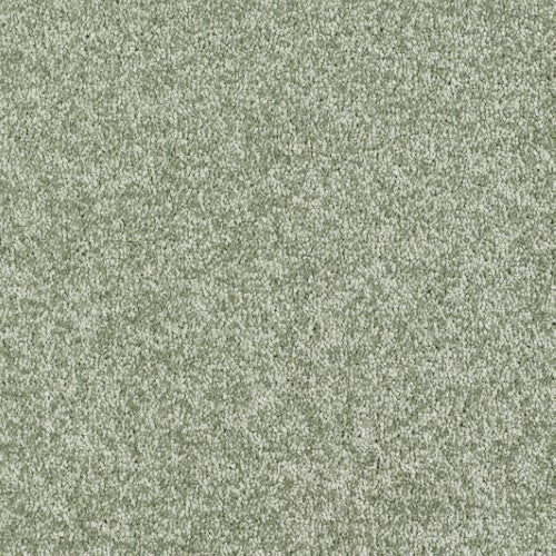 New Ambience Carpet