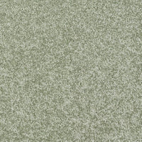 New Ambience Carpet