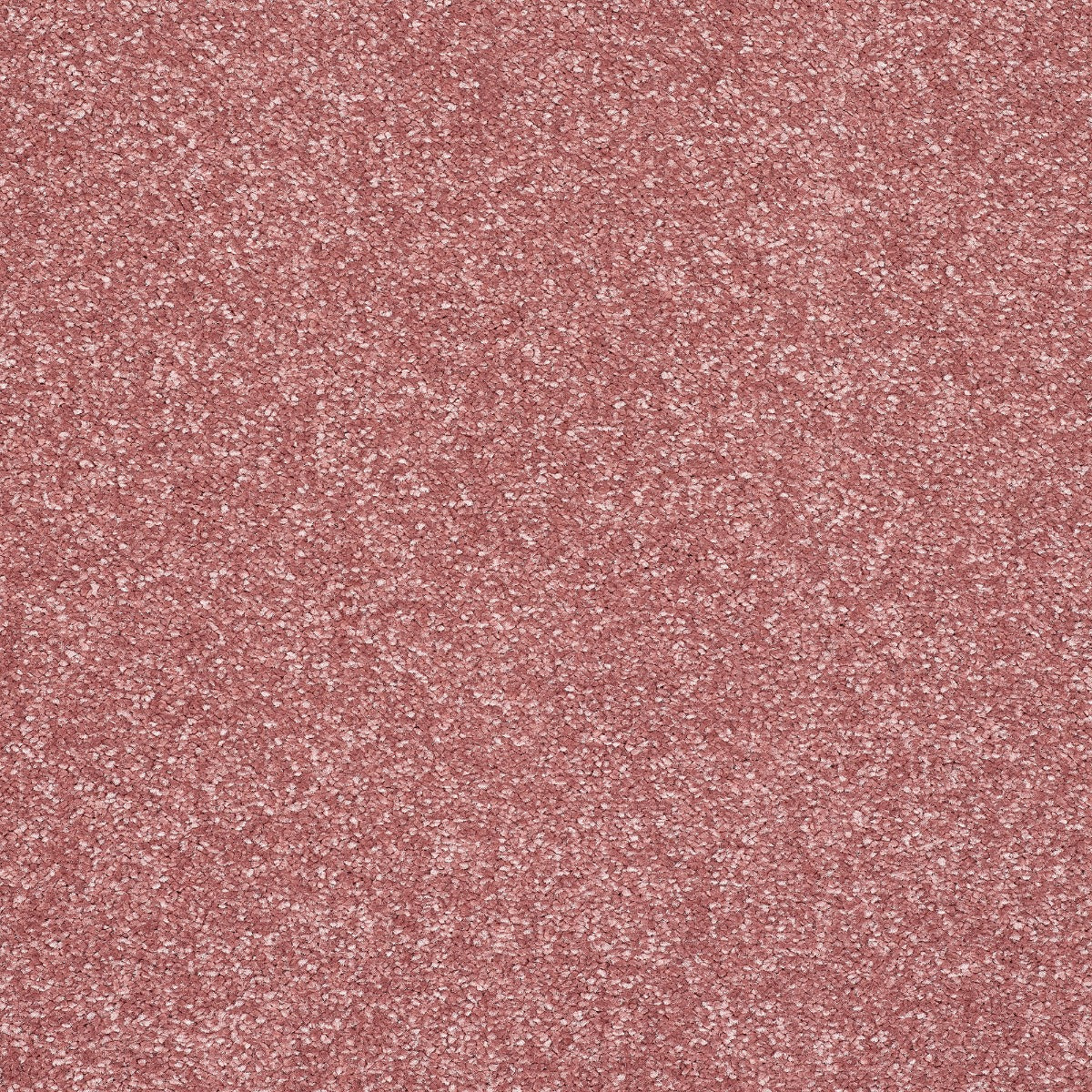 Caress Carpet