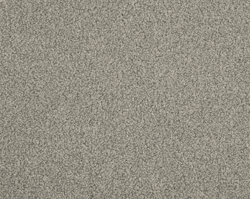 Easy Living Choice 48oz Carpet