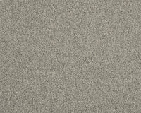 Easy Living Choice 48oz Carpet