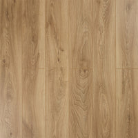 Sylvain 12mm Laminate