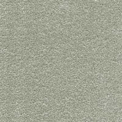 iSense Surprise Carpet
