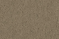 Grange Wilton Carpet - Ulster