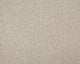 Easy Living Ultra Carpet