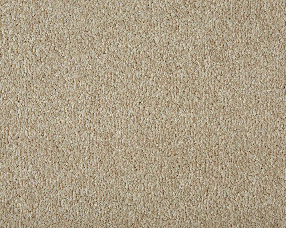 Easy Living Ultra Carpet