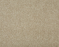 Easy Living Ultra Carpet
