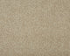 Easy Living Ultra Carpet