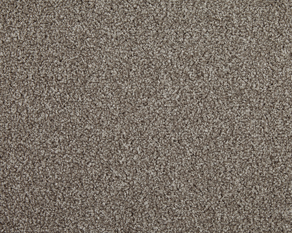 Easy Living Choice 48oz Carpet