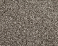 Easy Living Choice 48oz Carpet