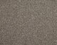 Easy Living Choice 48oz Carpet