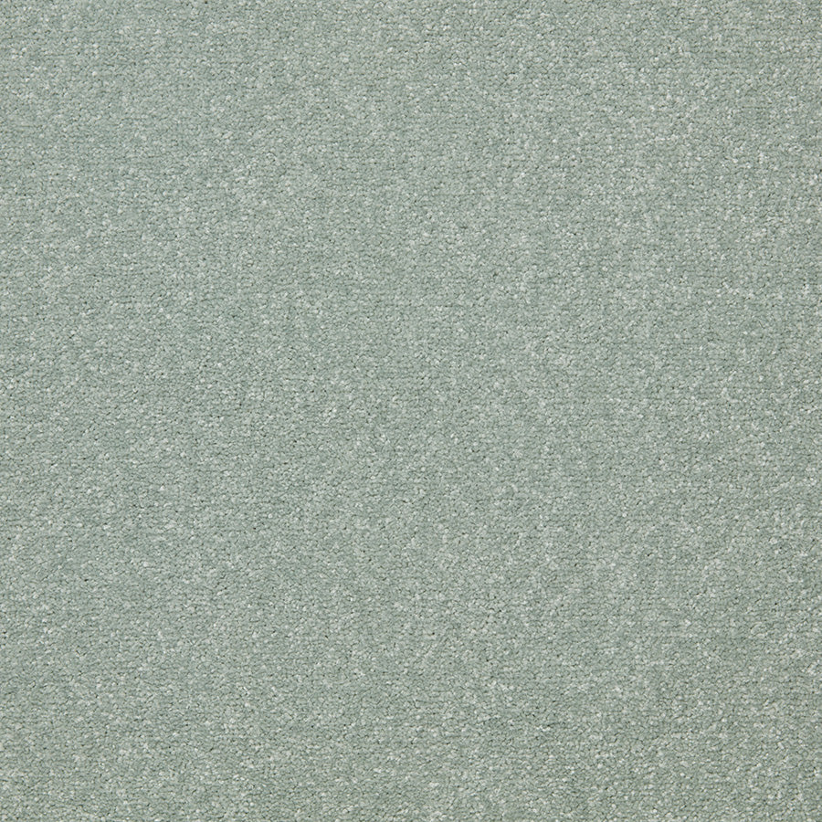 Easy Living Ultra Carpet