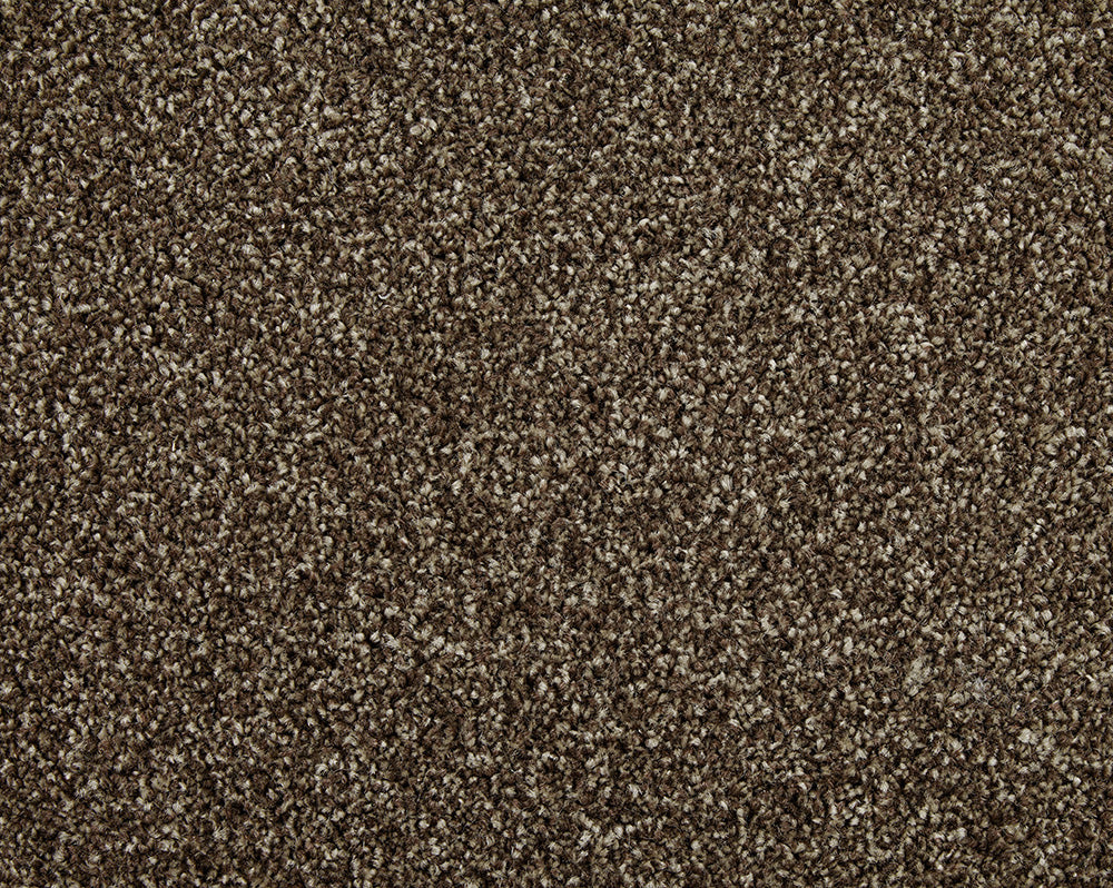 Easy Living Choice 48oz Carpet
