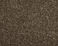 Easy Living Choice 48oz Carpet
