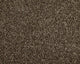 Easy Living Choice 48oz Carpet
