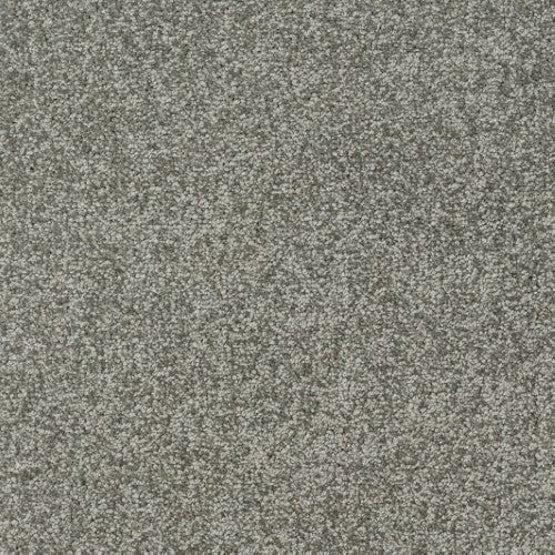 New Ambience Carpet