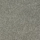 New Ambience Carpet