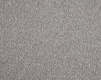 Easy Living Choice 48oz Carpet