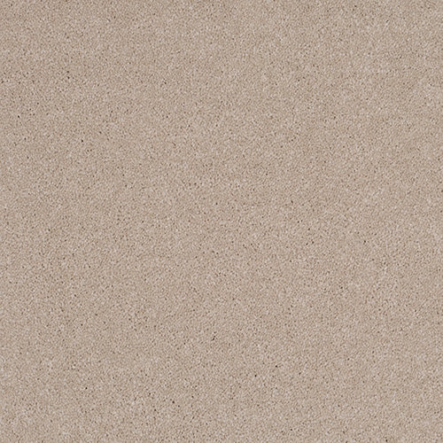 Pandora Carpet