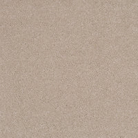 Pandora Carpet