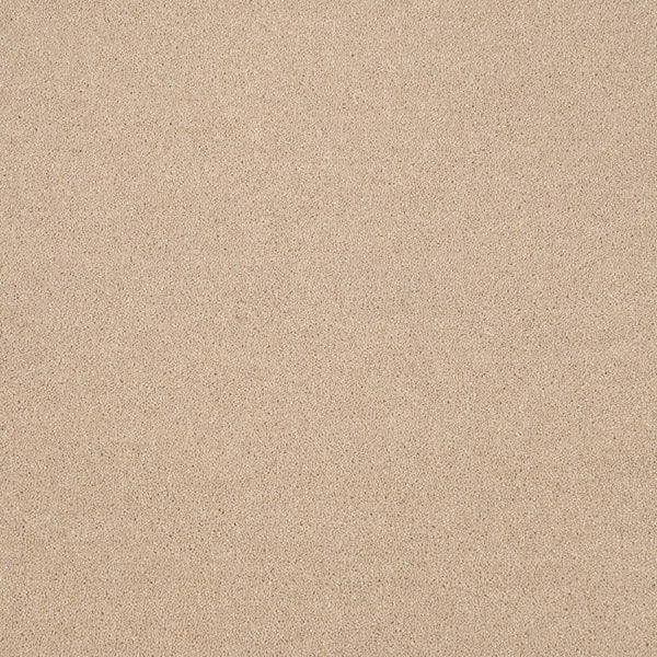 Highgate 50oz Carpet