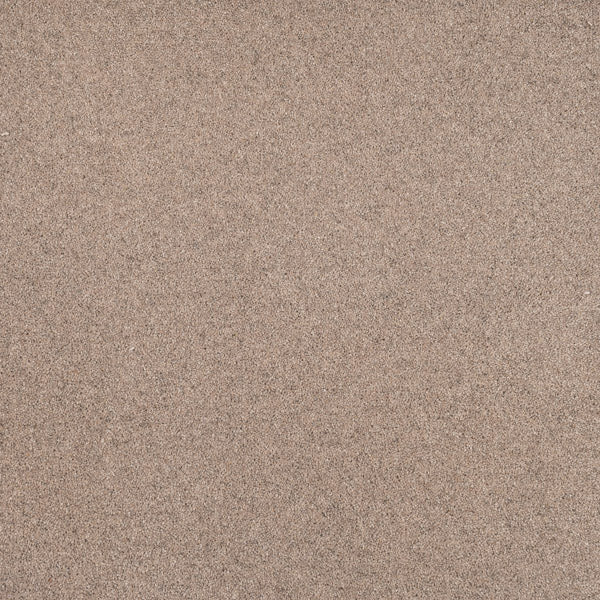 Highgate 50oz Carpet