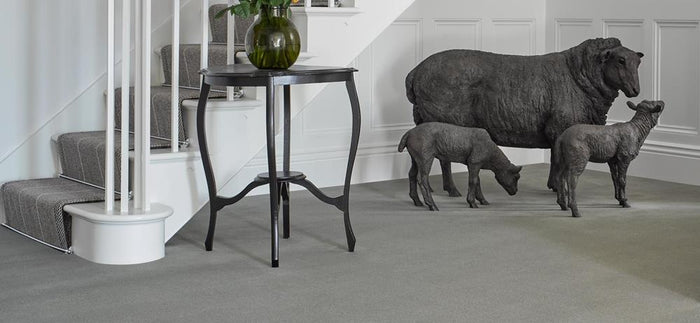 Royal Velvet Carpet