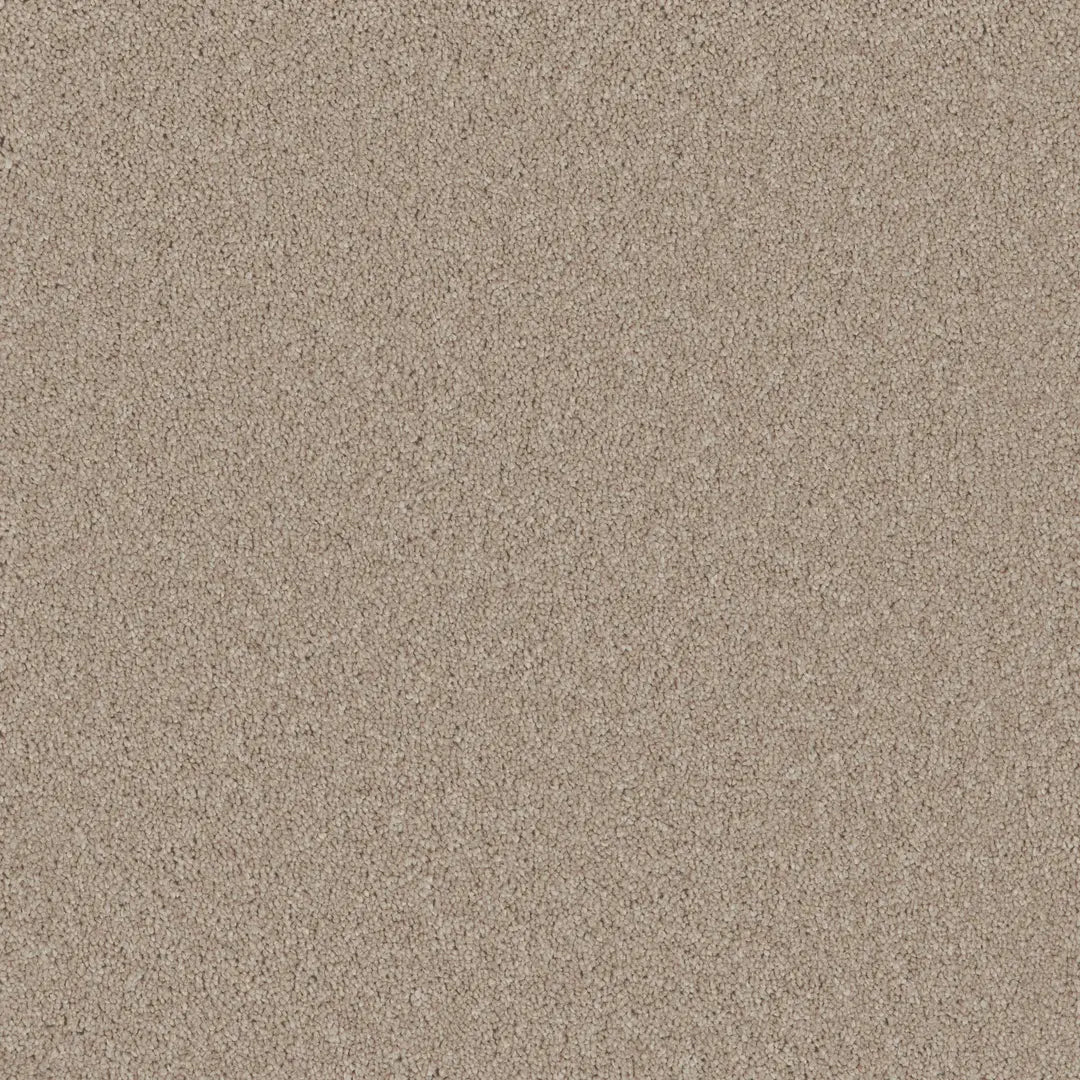 Bliss Carpet