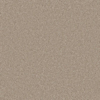 Bliss Carpet
