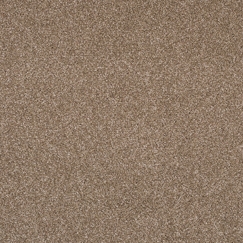 Pandora Carpet