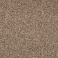 Pandora Carpet