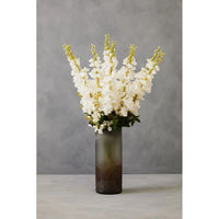 Chiara Vase Collection - Multiple Colours Available