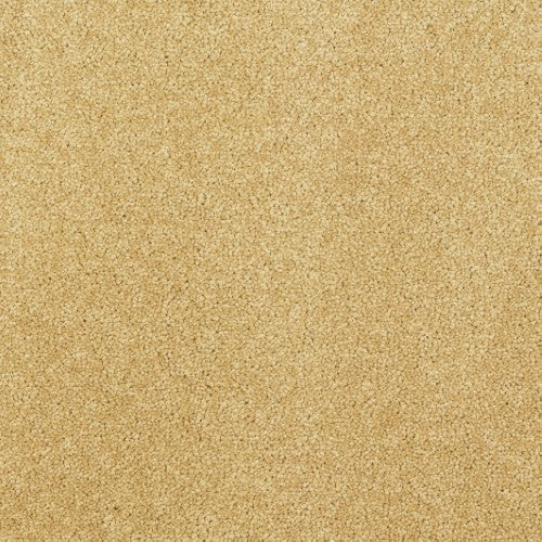 New Ambience Carpet