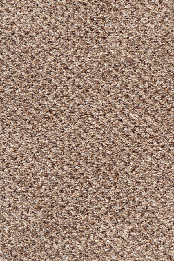 Smart Tweed Carpet