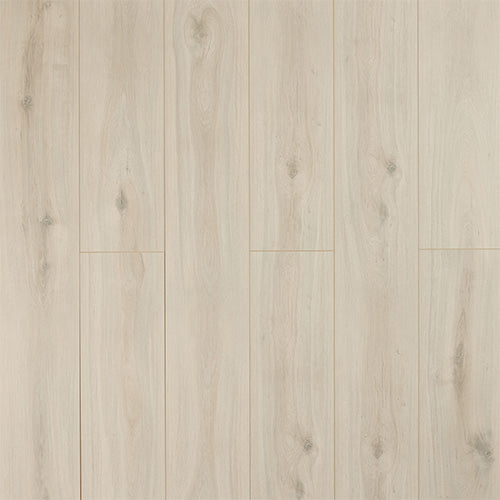 Sylvain 12mm Laminate