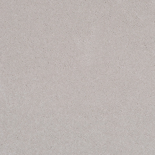 Pandora Carpet