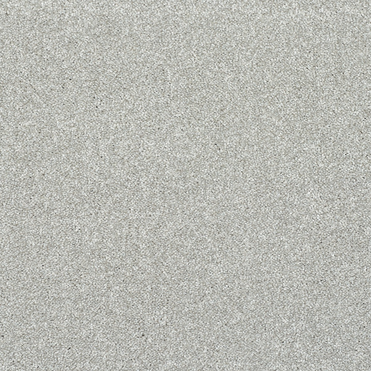 Finesse Carpet