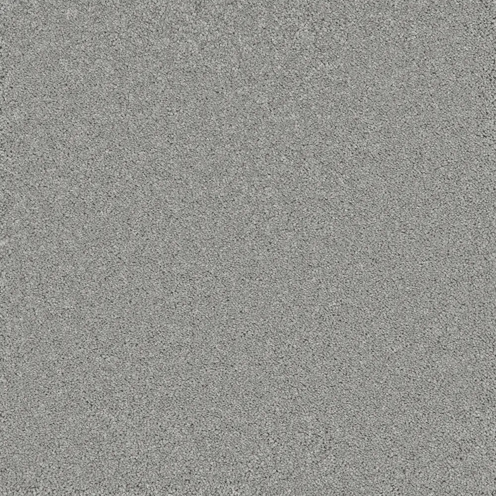 Bliss Carpet