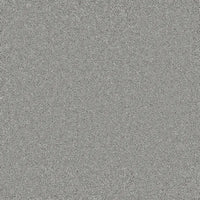 Bliss Carpet