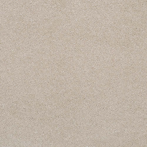 Pandora Carpet