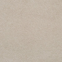 Pandora Carpet
